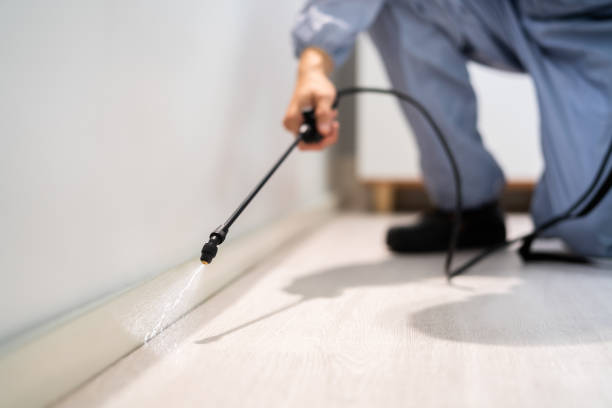 Bed Bug Pre-Treatment Preparation Assessment in Mountain View Ranches