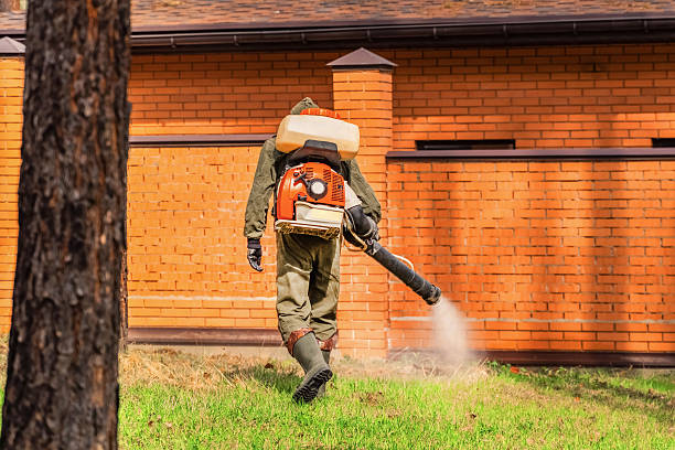 Bed Bug Clearance Verification and Documentation in Mountain View Ranches